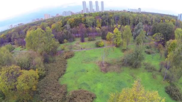 Forêt avec ville au loin — Video