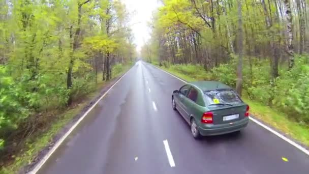 Asfaltlı yolda araba araba — Stok video