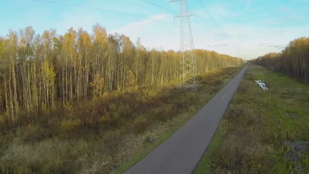 Woman on bicycle at road — Stock Video