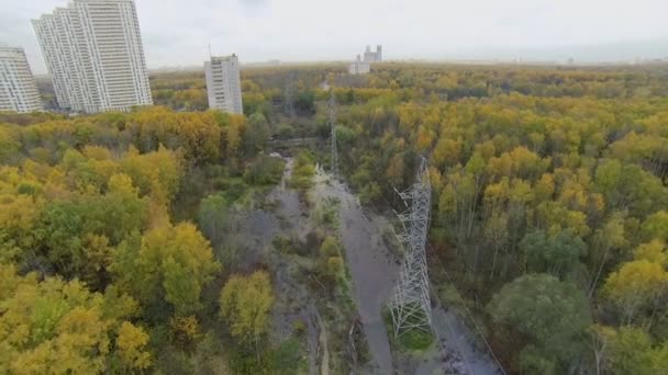 Líneas eléctricas entre árboles con follaje colorido en el parque — Vídeos de Stock