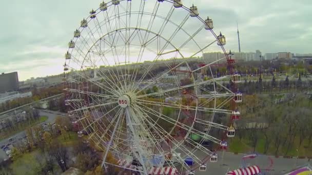 Riesenrad im Park — Stockvideo