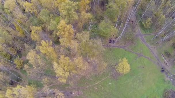 Turist grup Park Moskova Elk adada kalan var — Stok video