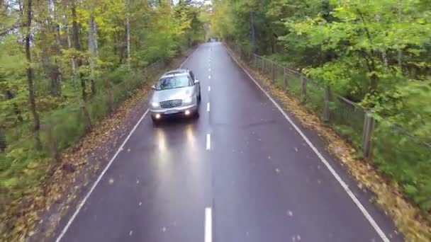 Coche conduciendo a través del bosque — Vídeo de stock