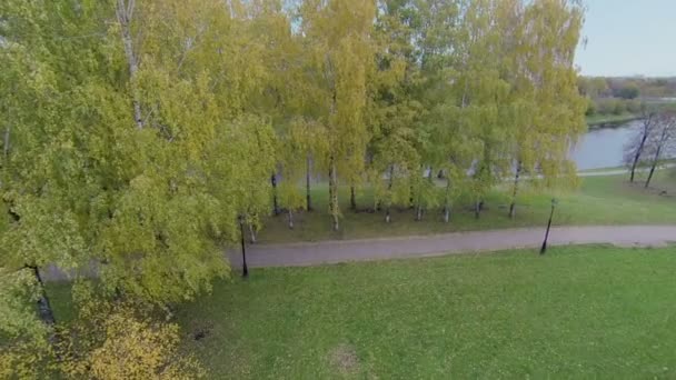 Vento treme folhagem colorida de árvores perto da lagoa Cherkizovsky — Vídeo de Stock