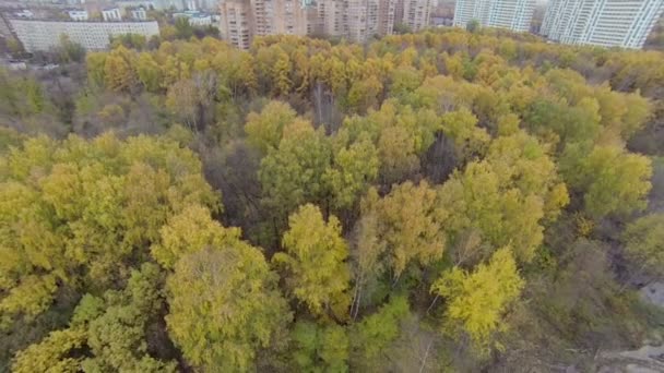 ウェット散布や伐採破片に沿って電源ラインの都市景観 — ストック動画