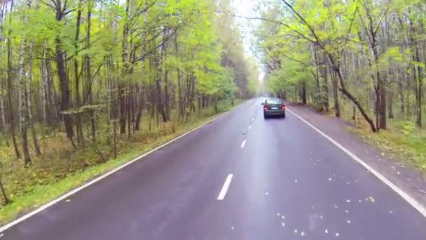 Auto fährt auf asphaltierter Straße — Stockvideo