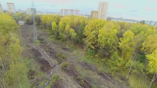 Kişi enkaz Park felling ile tarama alanı arası — Stok video