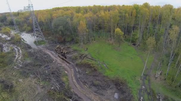 Träd i parken på Elk island med road och kraftledningar — Stockvideo