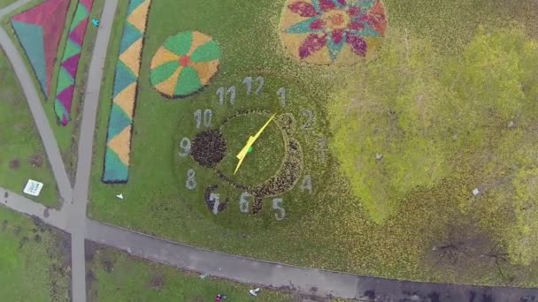 Colourful flowerbeds in shapes of clock — Stock Video