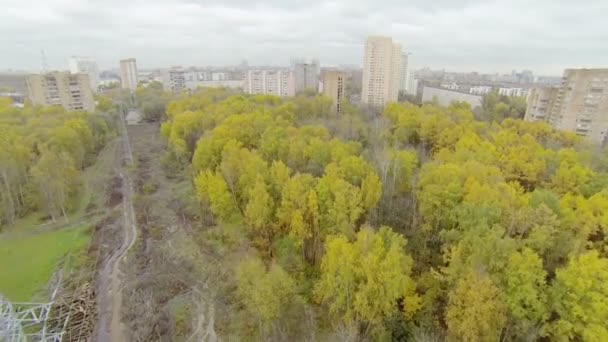 Líneas eléctricas a lo largo de una franja húmeda en el parque de la isla de Elk en Moscú — Vídeos de Stock