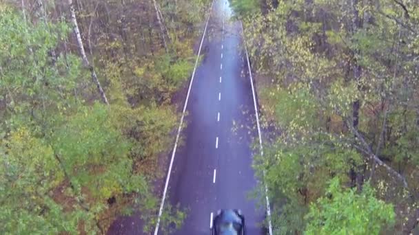 Coche conduciendo a través del bosque — Vídeo de stock