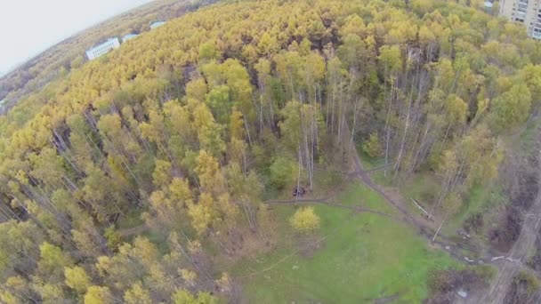 Parque en la isla de Elk en Moscú — Vídeo de stock