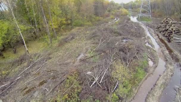 Уборка парка рядом с линиями электропередач — стоковое видео