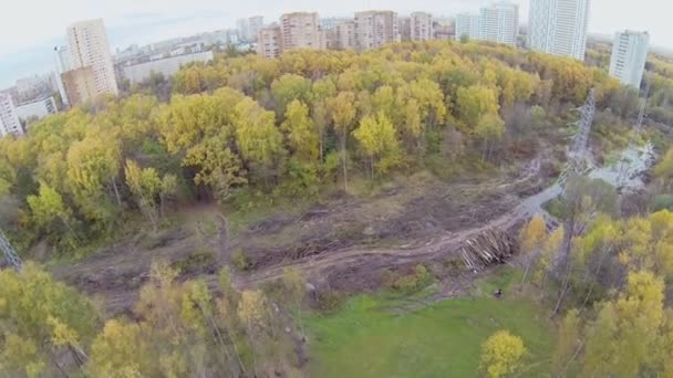 Cityscape elektrik hatları boyunca Park ıslak tarama alanı ile — Stok video