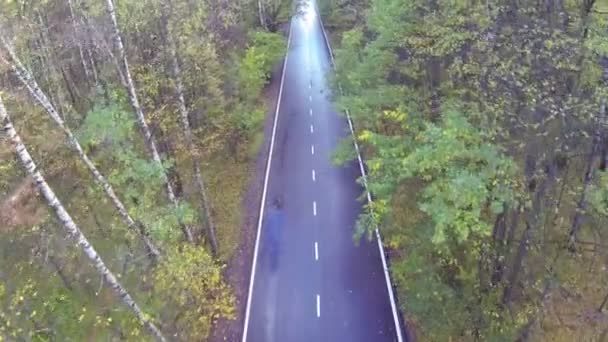 Auto projíždějící lesem — Stock video