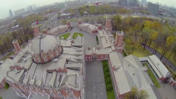 Petrovsky reser Palace — Stockvideo