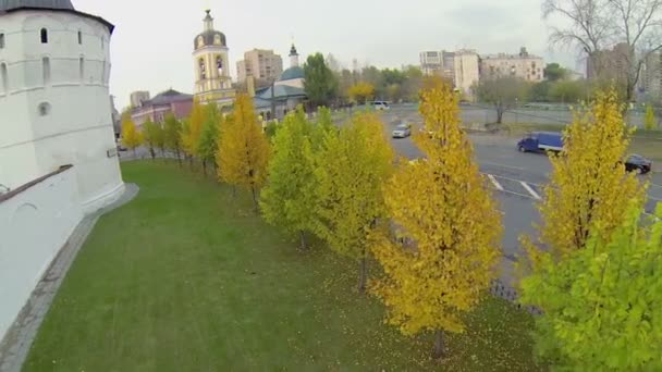 Novospasský klášter Stauropegial — Stock video