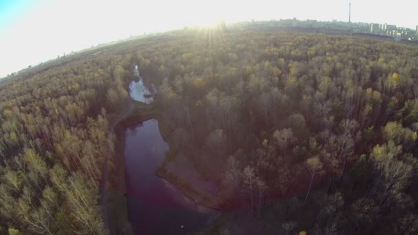 Soleil brille au-dessus de Putyaevskiy étang — Video