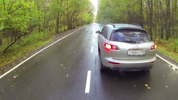 Carro dirigindo através da floresta — Vídeo de Stock