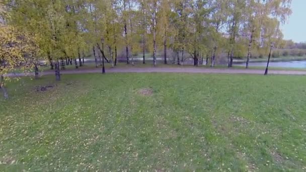 Il vento soffia foglie colorate sugli alberi vicino al laghetto Cherkizovsky — Video Stock