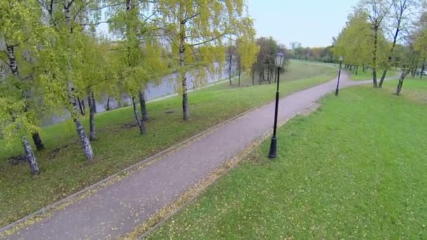 Διαδρομή κοντά δέντρα με ζωηρόχρωμο φύλλωμα στο πάρκο — Αρχείο Βίντεο