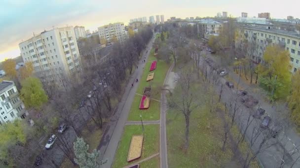 Boulevard avec parterres de fleurs et circulation automobile — Video