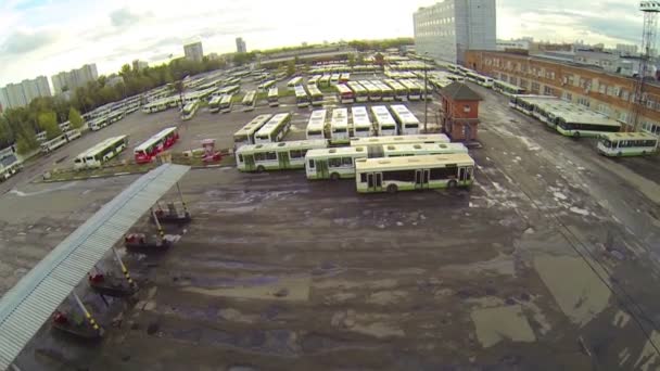 Aparcamiento de autobuses en la estación — Vídeo de stock