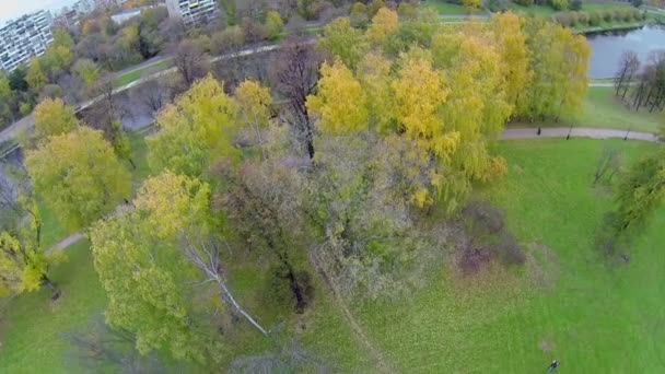 Trees with colorful foliage at park near Cherkizovsky pond — Stock Video