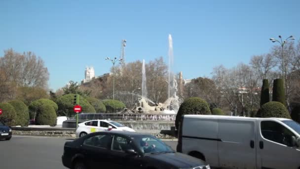 Forgalom közelében Neptune fountain — Stock videók