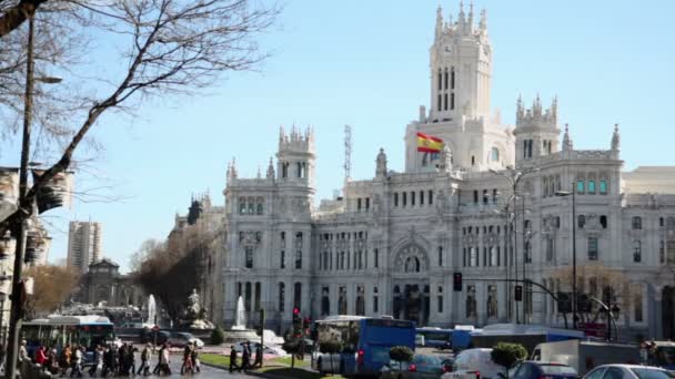 Vervoer verplaatst door Cibeles Square — Stockvideo