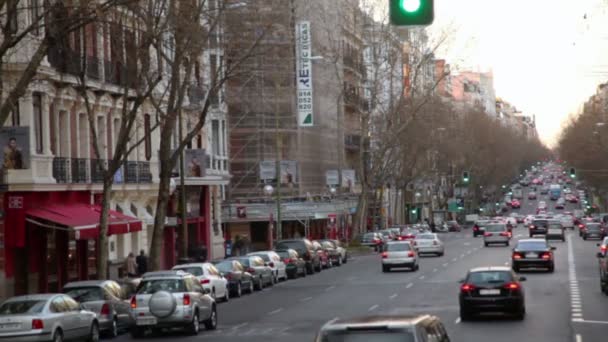 Coches paseo por la calle — Vídeos de Stock