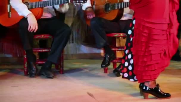 Vrouwelijke flamenco danseres benen — Stockvideo