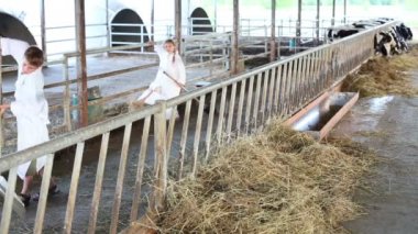 Orak erkek ve kız eseri