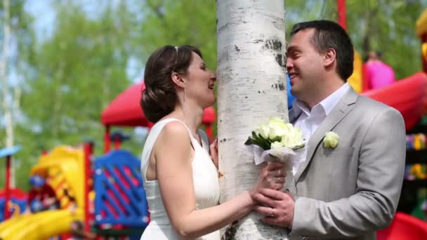 Casal recém-casado perto de vidoeiro — Vídeo de Stock