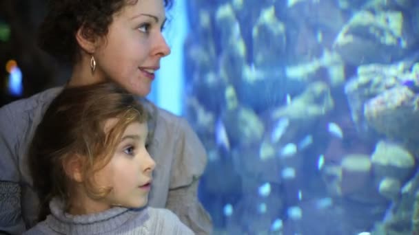 Anne ve kızı akvaryum sakinleri bakmak — Stok video