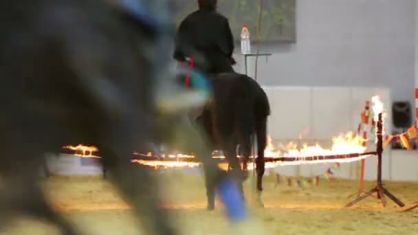 Cavaleiros em barreira de queima de salto — Vídeo de Stock