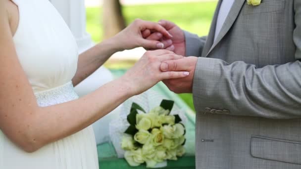 Hands of groom and bride — Stock Video