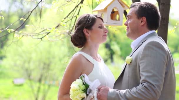 Beautiful bride and groom near tree — Stock Video