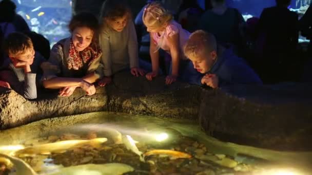 Frau und vier Kinder betrachten Fische — Stockvideo