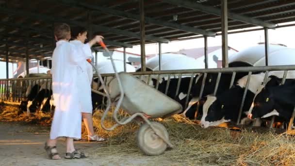 Mother and son with trolley of hay — Stock Video