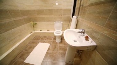 Modern toilet room with brown tiles