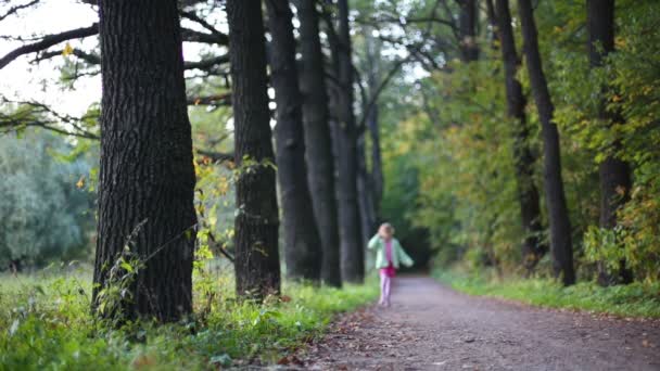 Cute little girl walk in forest — Stock Video