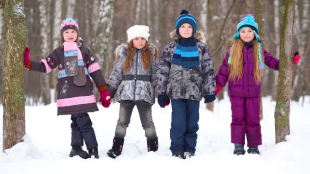 Four children play in winter park — Stock Video