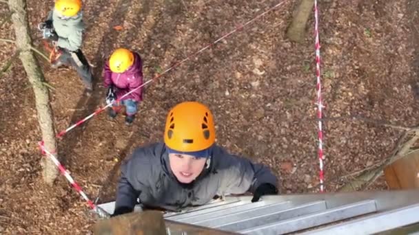 Pojken klättrar repstege träd — Stockvideo