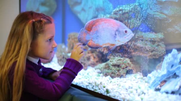 Petite fille regardant des poissons d'aquarium — Video