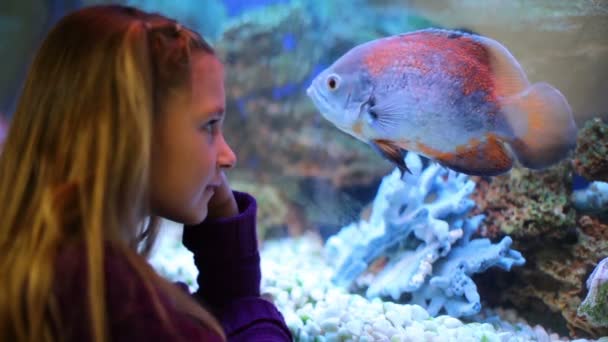 Niña mira al acuario — Vídeos de Stock