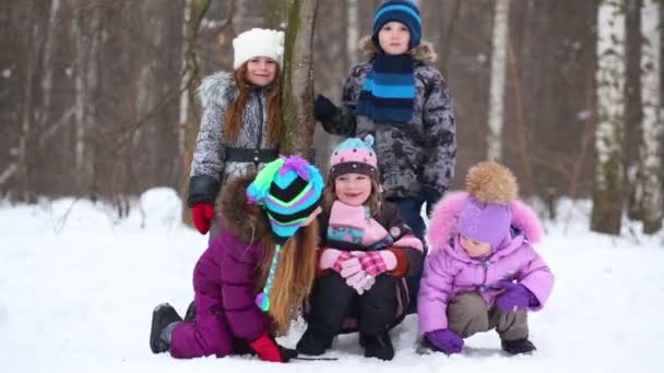Fünf Kinder im Winterpark — Stockvideo