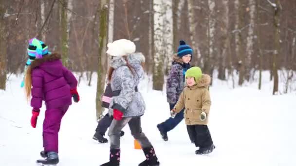 Fem barn springa runt i Vinterparken med snö och träd冬の公園で 5 人の子供を実行します。 — ストック動画