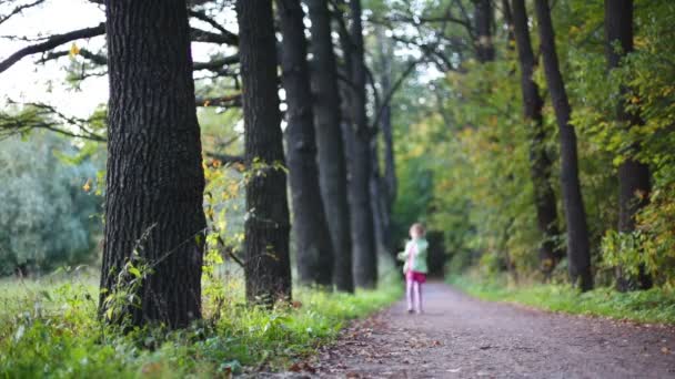 Χαριτωμένο μικρό κορίτσι τρέχει στο δάσος — Αρχείο Βίντεο
