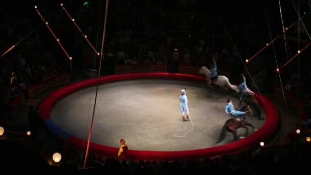 Horsemen performance at arena of Circus hall — Stock Video